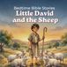Little David and the Sheep: A story of courage, care, and trusting God