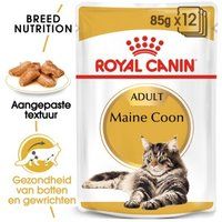 ROYAL CANIN Maine Coon Adult in Saus 12x85 g