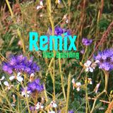 Remix: Bildband