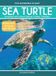 Sea Libri GmbH This Incredible Planet- Sea Turtle Hardcover