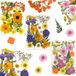 Unyqoos® Set van 66 Diverse Gedroogde Bloemen voor Creatieve Decoratie en Ambacht