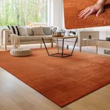 Paco Home Moderne woonkamer tapijt kortpolig wasbaar zacht uni effect bont antislip 140x200 cm