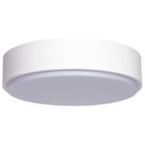 Led-plafondlamp, 12 W, 3000 K, oppervlaktemontage, elegant design, optimaal voor huizen en kantoren, warmwit licht