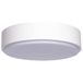 Led-plafondlamp, 12 W, 3000 K, oppervlaktemontage, elegant design, optimaal voor huizen en kantoren, warmwit licht