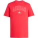 Adidas T-shirt Collegiate Lineage Graphic