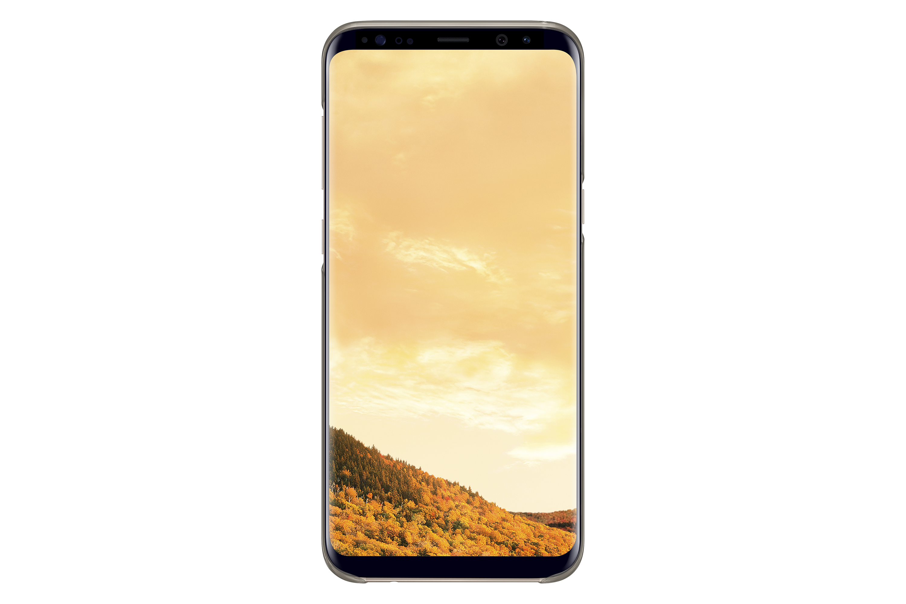 Samsung EF-QG955 goud / Galaxy S8+