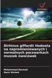 Dirhinus OmniScriptum SRL Dirhinus giffardii Hodowla na napromieniowanych i normalnych poczwarkach muszek owocówek
