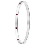 Lucardi Dames Armband bangle geboortestenen - Staal - Armband - Cadeau - Stijlvol - Zilverkleurig