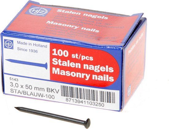 Hoenderdaal Fasteners Hjz Stalen nagel bombe kop 50 x 3.0mm