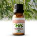 Zenful Citroen Eucalyptus etherische olie - Biologisch - Puur - Natuurlijk - Lemon Eucalyptus - 10 ml