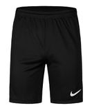 Nike Strike26 Shorts