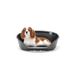 Ferplast Kunststof huisdiermand voor honden en katten, Siesta Deluxe 6, dierenmand, ventilatieopeningen in de bodem, antislip, comfortabele hoge rand, ook als kinsteun, 70,5 x 52 x 23,5 cm, zwart
