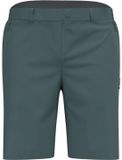 Odlo Ascent Light Korte Broek Grijs 52 Man
