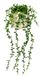 Flair Flower Senecio Kunstplant, hangplant, vetplanten, wanddecoratie, kunstbloem, kunstplant, hangende klimop, groene hanger, groene planten, kamerplant, decoratieve plant