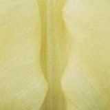 JUB - Tulipa Creme Fraiche