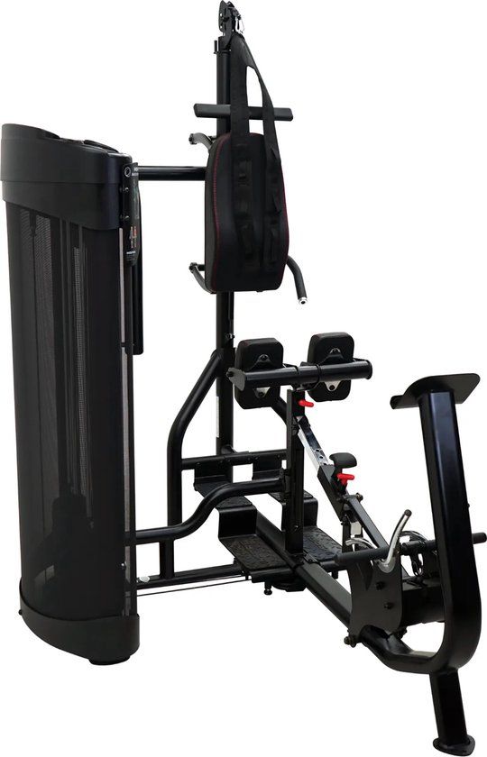 Inspire Fitness Inspire DUAL Station Buik + Rug