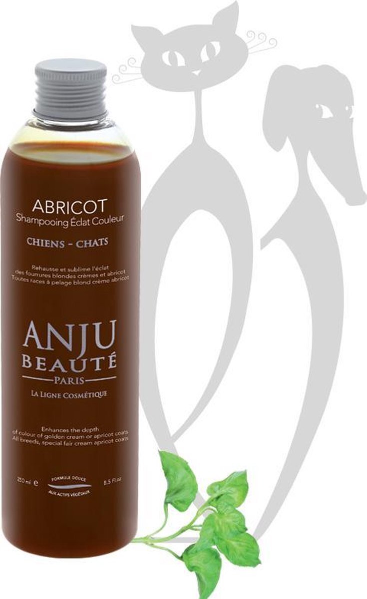 Anju Beauté Abricot Shampoo 500 mL