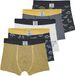 Vertbaudet Set van 5 stretch jongensboxers Dino