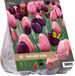Baltus Urban Flowers bloembollen – Twilight zone - 2 x 16 stuks