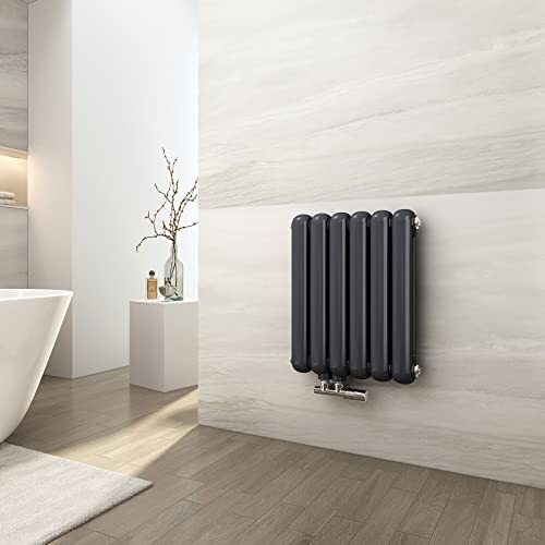 EMKE Radiator, horizontaal, ovaal, 550 x 440 mm, antraciet, design radiator, dubbellaags, buiskachel, kleine verwarming, zijaansluiting voor warm water