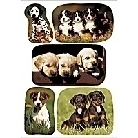 HERMA DECOR stickers photos of puppies 3 sheets