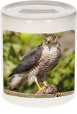 Shoppartners Bv Dieren Havik Roofvogel Spaarpot 9 cm