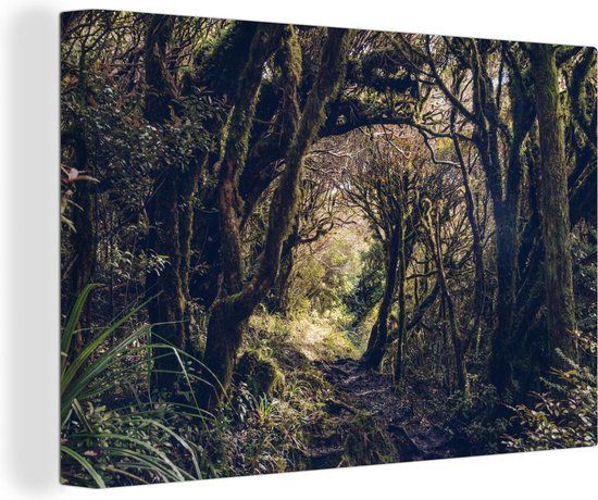 OneMillionCanvasses Canvas schilderij 150x100 cm - Bos in Nationaal park Egmont - Multicolor - Modern