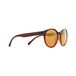 Redbull Spect Eyewear Red Bull Spect Ever Gepolariseerde Zonnebril Goud Bruin CAT3