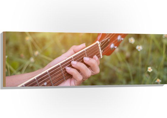 Merkloos / Sans marque Foto op Hout - Close-up van Vrouwenhand op Bruine Gitaar in Bloemenveld - 120x40 cm - 9 mm dik - Landelijk