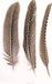 Glorex Hobby Parelhoen/fazanten sierveren - 5 stuks - Multi