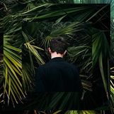 Proper S&D Consignment High Lucia - Wash (12" Vinyl)