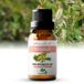 Zenful Niaouli olie - 100% Puur - Biologisch - Zuiver - Etherische Olie - Niaouli - Natuurlijk - Vegan - Aromatherapie - Geur - 10ml