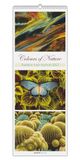Colours of Nature - Triplets 2027: Streifenkalender 25x69 cm mit 3 Naturfotos pro Monat, Hochformat und Spiralbindung