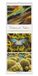 Colours of Nature - Triplets 2027: Streifenkalender 25x69 cm mit 3 Naturfotos pro Monat, Hochformat und Spiralbindung