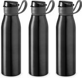 Merkloos / Sans marque Stricker Europe 3x Stuks aluminium waterfles/drinkfles zwart met klepdop en handvat 650 ml