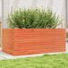 Maison Exclusive - Pot de fleurs pour le jardin, brun foncé, 110x60x46 cm, bois de pin massif