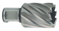 Metabo Accessoires HSS kernboor Ø 17x30 mm - 626505000