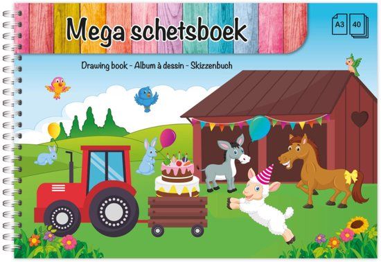 Dutch House Schetsboek A3 Ringband 40 Vellen