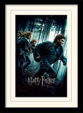 Harry Potter 30 x 40 cm