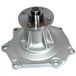 IPS Parts IPW-7160N waterpomp
