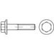 TOOLCRAFT 139626 Zeskantbouten met flens M12 25 mm Buitenzeskant DIN 6921 Staal 100 stuk(s)