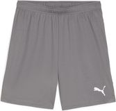 PUMA teamGOAL Shorts Heren sportbroek - Cast Iron-PUMA White