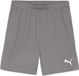 PUMA teamGOAL Shorts Heren sportbroek - Cast Iron-PUMA White