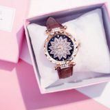 Stuff Certified Starry Sky Horloge Dames - Luxe Anoloog Kwarts Uurwerk voor Vrouwen Bruin