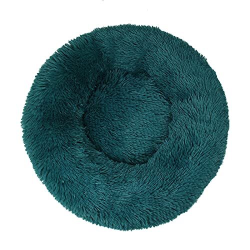 QIFFIY Kattenmand Hond bed mand honden bedden for grote bench mat chihuahua kennel for huisdierbenodigdheden sofa honden huis for kat groot kussen Kattenhuis (Color : Teal color, Grootte : 80cm)