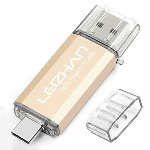 leizhan USB Stick 512GB Type C 2-in-1 OTG Flash Drive Pen Drive voor type-c telefoon pc (512GB, Goud)