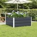 Maison Exclusive - Bac à plantes anthracite 100 x 100 x 45 cm en acier