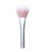 rms beauty Pinceau blush Skin2Skin Powder Blush Brush Blush