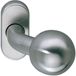 Marchesi Roestvrijstalen deurknop op ovale rozet | fixknop | 1 stuk | Niro | inox