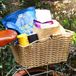 Goodivery Porte-bagages de vélo Panier Avec Housse Étanche Et Filet à Bagages Réglable 26L Naturel